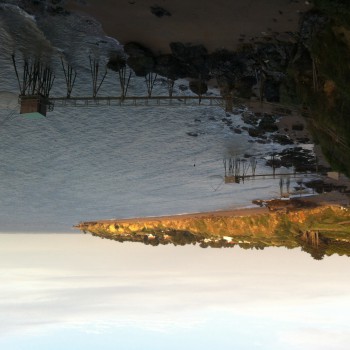 Profil de Charlyne, 37 ans, Sex à Troine